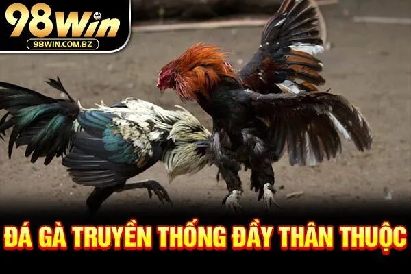 Đá gà truyền thống đầy thân thuộc