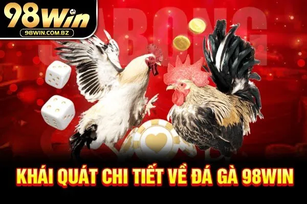 Khái quát chi tiết về Đá Gà 98WIN